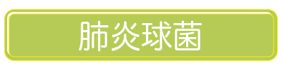 肺炎球菌